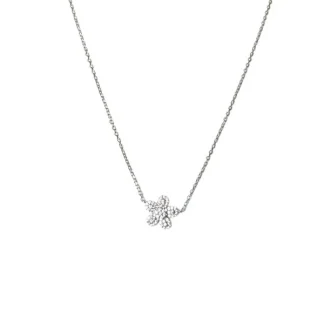 Colar flor cinco pétalas zircônia micro cravação Prata 925 Ródio