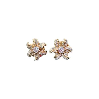 Brinco Estrela Mar Zircônia Prata 925 Ouro 18 K